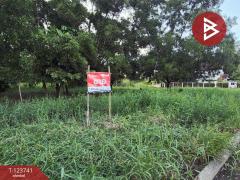 ขายที่ดินแปลงสวย เนื้อที่ 94.3 ตารางวา คลองสาม ปทุมธานี ติดถนนหลักคลองหลวง-202510202040101760967610013.jpg