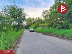 ขายที่ดินแปลงสวย เนื้อที่ 94.3 ตารางวา คลองสาม ปทุมธานี ติดถนนหลักคลองหลวง-202510202040101760967610603.jpg