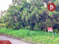 ขายที่ดินแปลงสวย เนื้อที่ 94.3 ตารางวา คลองสาม ปทุมธานี ติดถนนหลักคลองหลวง-202510202040111760967611239.jpg