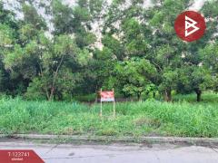 ขายที่ดินแปลงสวย เนื้อที่ 94.3 ตารางวา คลองสาม ปทุมธานี ติดถนนหลักคลองหลวง-202510202040111760967611815.jpg