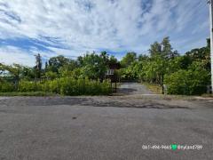 ขายบ้านสวนเดินทางง่าย ใกล้ มศว.องครักษ์ ย่านคลอง 16 บ้านไม้นกพื้นสูง หันทิศเหนือ การเดินทางสะดวกสบาย