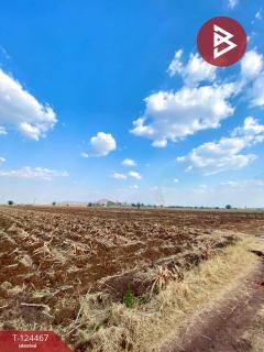 ขายที่ดินเปล่า เนื้อที่ 24 ไร่ 1 งาน 87 ตารางวา ตากฟ้า นครสวรรค์-202510210908051761012485084.jpg