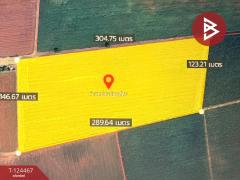 ขายที่ดินเปล่า เนื้อที่ 24 ไร่ 1 งาน 87 ตารางวา ตากฟ้า นครสวรรค์-202510210908061761012486760.jpg