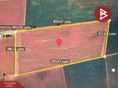 ขายที่ดินเปล่า เนื้อที่ 24 ไร่ 1 งาน 87 ตารางวา ตากฟ้า นครสวรรค์-202510210908071761012487305.jpg