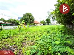 ขายที่ดิน เนื้อที่ 1 งาน 96 ตร.วา แสนสุข ชลบุรี-202510211036071761017767963.jpg