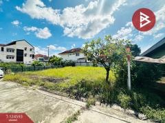 ขายที่ดินพร้อมสิ่งปลูกสร้าง เนื้อที่ 1 งาน 54.1 ตร.วา บางหลวง ปทุมธานี-202510211111271761019887022.jpg