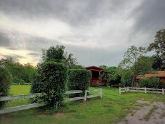 ขายที่ดินราคาถูก โครงการวังไทร ฮิลไซด์ อ.ปากช่อง จ. นครราชสีมา-202510211114471761020087349.jpg