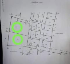 ขายที่ดินราคาถูก โครงการวังไทร ฮิลไซด์ อ.ปากช่อง จ. นครราชสีมา-202510211114501761020090467.jpg