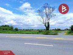 ขายที่ดินเปล่า เนื้อที่ 4 ไร่ โคกโคเฒ่า สุพรรณบุรี-202510211132331761021153086.jpg