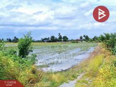 ขายที่ดินเปล่า เนื้อที่ 4 ไร่ โคกโคเฒ่า สุพรรณบุรี-202510211132341761021154179.jpg