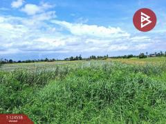 ขายที่ดินเปล่า เนื้อที่ 4 ไร่ โคกโคเฒ่า สุพรรณบุรี-202510211132341761021154720.jpg