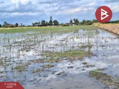 ขายที่ดินเปล่า เนื้อที่ 4 ไร่ โคกโคเฒ่า สุพรรณบุรี-202510211132351761021155251.jpg