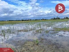 ขายที่ดินเปล่า เนื้อที่ 4 ไร่ โคกโคเฒ่า สุพรรณบุรี-202510211132361761021156851.jpg