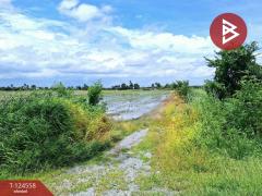 ขายที่ดินเปล่า เนื้อที่ 4 ไร่ โคกโคเฒ่า สุพรรณบุรี-202510211132371761021157384.jpg