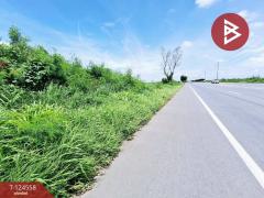 ขายที่ดินเปล่า เนื้อที่ 4 ไร่ โคกโคเฒ่า สุพรรณบุรี-202510211132371761021157911.jpg