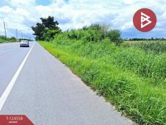 ขายที่ดินเปล่า เนื้อที่ 4 ไร่ โคกโคเฒ่า สุพรรณบุรี-202510211132381761021158439.jpg