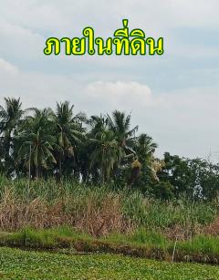 Land for sale next to a natural canal, 4 rai, 2 ngan, 76 sq wah. Near the Southern Purple Line MRT station and the Kanchanaphisek Expressway. Pracha Uthit 76, Thung Khru District, Bangkok.-202510211209321761023372730.jpg