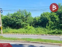 ขายที่ดิน-เนื้อที่-233-ตารางวา-หมู่บ้า