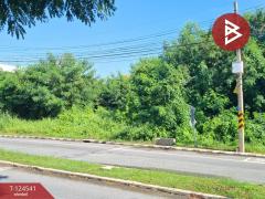 ขายที่ดิน เนื้อที่ 233 ตารางวา หมู่บ้านชวนชื่น ฟลอร่าวิลล์ (Chuanchuen Flora Ville) ปทุมธานี-202510211221451761024105165.jpg