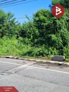 ขายที่ดิน เนื้อที่ 233 ตารางวา หมู่บ้านชวนชื่น ฟลอร่าวิลล์ (Chuanchuen Flora Ville) ปทุมธานี-202510211221451761024105727.jpg