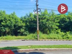 ขายที่ดิน เนื้อที่ 233 ตารางวา หมู่บ้านชวนชื่น ฟลอร่าวิลล์ (Chuanchuen Flora Ville) ปทุมธานี-202510211221461761024106831.jpg