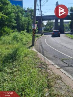 ขายที่ดิน เนื้อที่ 233 ตารางวา หมู่บ้านชวนชื่น ฟลอร่าวิลล์ (Chuanchuen Flora Ville) ปทุมธานี-202510211221471761024107403.jpg