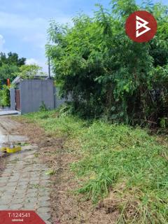 ขายที่ดิน เนื้อที่ 233 ตารางวา หมู่บ้านชวนชื่น ฟลอร่าวิลล์ (Chuanchuen Flora Ville) ปทุมธานี-202510211221491761024109158.jpg