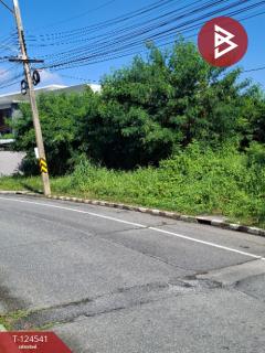 ขายที่ดิน เนื้อที่ 233 ตารางวา หมู่บ้านชวนชื่น ฟลอร่าวิลล์ (Chuanchuen Flora Ville) ปทุมธานี-202510211221491761024109703.jpg