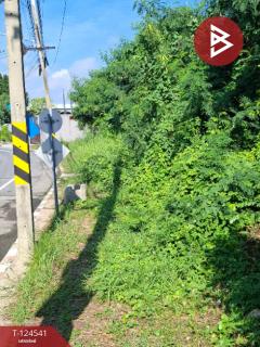 ขายที่ดิน เนื้อที่ 233 ตารางวา หมู่บ้านชวนชื่น ฟลอร่าวิลล์ (Chuanchuen Flora Ville) ปทุมธานี-202510211221501761024110247.jpg