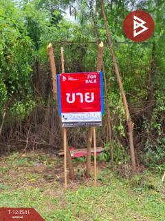ขายที่ดิน เนื้อที่ 233 ตารางวา หมู่บ้านชวนชื่น ฟลอร่าวิลล์ (Chuanchuen Flora Ville) ปทุมธานี-202510211221511761024111172.jpg