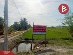 ขายที่ดิน เนื้อที่ 9 ไร่ 2 งาน 76.7 ตร.วา ไทรน้อย นนทบุรี-202510211223211761024201977.jpg