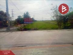 ขายที่ดิน เนื้อที่ 9 ไร่ 2 งาน 76.7 ตร.วา ไทรน้อย นนทบุรี-202510211223221761024202511.jpg