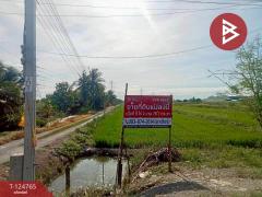 ขายที่ดิน เนื้อที่ 9 ไร่ 2 งาน 76.7 ตร.วา ไทรน้อย นนทบุรี-202510211223241761024204103.jpg