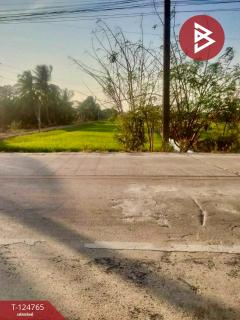 ขายที่ดิน เนื้อที่ 9 ไร่ 2 งาน 76.7 ตร.วา ไทรน้อย นนทบุรี-202510211223241761024204638.jpg