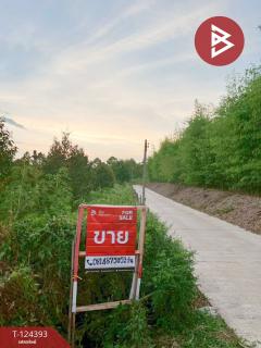 ขายที่ดิน เนื้อที่ 6 ไร่ 1 งาน 90.5 ตร.วา แกลง ระยอง