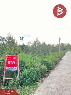 ขายที่ดิน เนื้อที่ 6 ไร่ 1 งาน 90.5 ตร.วา แกลง ระยอง-202510211237431761025063168.jpg