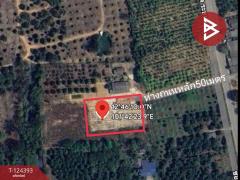 ขายที่ดิน เนื้อที่ 6 ไร่ 1 งาน 90.5 ตร.วา แกลง ระยอง-202510211237431761025063699.jpg