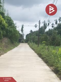 ขายที่ดิน เนื้อที่ 6 ไร่ 1 งาน 90.5 ตร.วา แกลง ระยอง-202510211237461761025066202.jpg