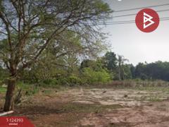 ขายที่ดิน เนื้อที่ 6 ไร่ 1 งาน 90.5 ตร.วา แกลง ระยอง-202510211237471761025067273.jpg