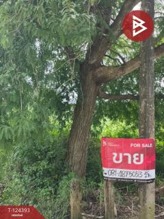 ขายที่ดิน เนื้อที่ 6 ไร่ 1 งาน 90.5 ตร.วา แกลง ระยอง-202510211237481761025068338.jpg