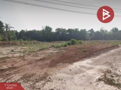 ขายที่ดิน เนื้อที่ 6 ไร่ 1 งาน 90.5 ตร.วา แกลง ระยอง-202510211237481761025068900.jpg