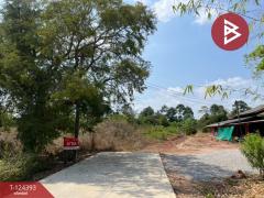 ขายที่ดิน เนื้อที่ 6 ไร่ 1 งาน 90.5 ตร.วา แกลง ระยอง-202510211237491761025069748.jpg