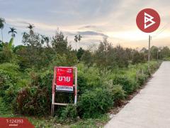 ขายที่ดิน เนื้อที่ 6 ไร่ 1 งาน 90.5 ตร.วา แกลง ระยอง-202510211237501761025070273.jpg