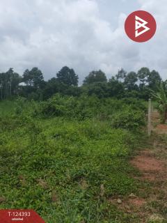 ขายที่ดิน เนื้อที่ 6 ไร่ 1 งาน 90.5 ตร.วา แกลง ระยอง-202510211237501761025070799.jpg