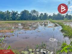 ขายที่ดิน เนื้อที่ 5 ไร่ 75 ตารางวา ต.เขาท่าพระ จ.ชัยนาท ราคาถูก ทำเลดี-202510211251381761025898445.jpg