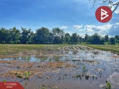 ขายที่ดิน เนื้อที่ 5 ไร่ 75 ตารางวา ต.เขาท่าพระ จ.ชัยนาท ราคาถูก ทำเลดี-202510211251381761025898968.jpg