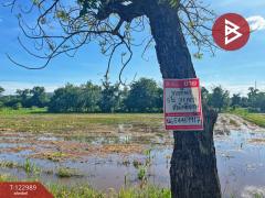 ขายที่ดิน เนื้อที่ 5 ไร่ 75 ตารางวา ต.เขาท่าพระ จ.ชัยนาท ราคาถูก ทำเลดี-202510211251391761025899491.jpg