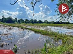 ขายที่ดิน เนื้อที่ 5 ไร่ 75 ตารางวา ต.เขาท่าพระ จ.ชัยนาท ราคาถูก ทำเลดี-202510211251401761025900017.jpg