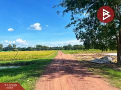 ขายที่ดิน เนื้อที่ 5 ไร่ 75 ตารางวา ต.เขาท่าพระ จ.ชัยนาท ราคาถูก ทำเลดี-202510211251401761025900541.jpg