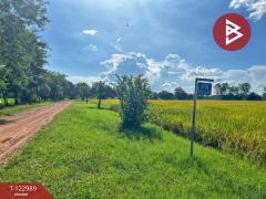 ขายที่ดิน เนื้อที่ 5 ไร่ 75 ตารางวา ต.เขาท่าพระ จ.ชัยนาท ราคาถูก ทำเลดี-202510211251411761025901619.jpg